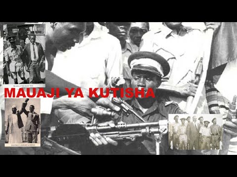 Video: Je, dawa za kulevya hutiaje sumu kwenye mito ya jiji?