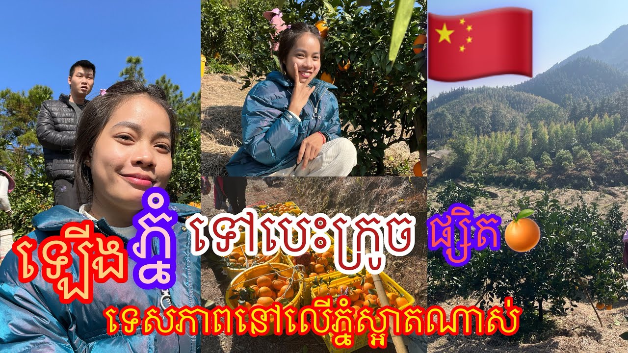 ស្វាមីចិននាំឡើងភ្នំទៅបេះក្រូច🍊🇨🇳|kunbrsajeen