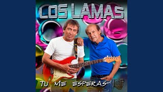 Tú Me Esperas - Los Lamas