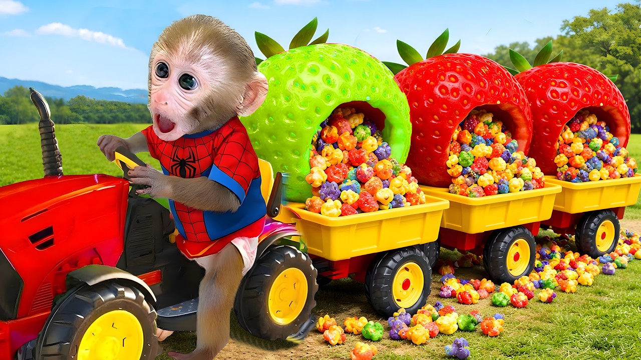 Bebé Mono Cosecha Una Fresa Arcoíris Gigante ¡Qué emocionante y divertido!
