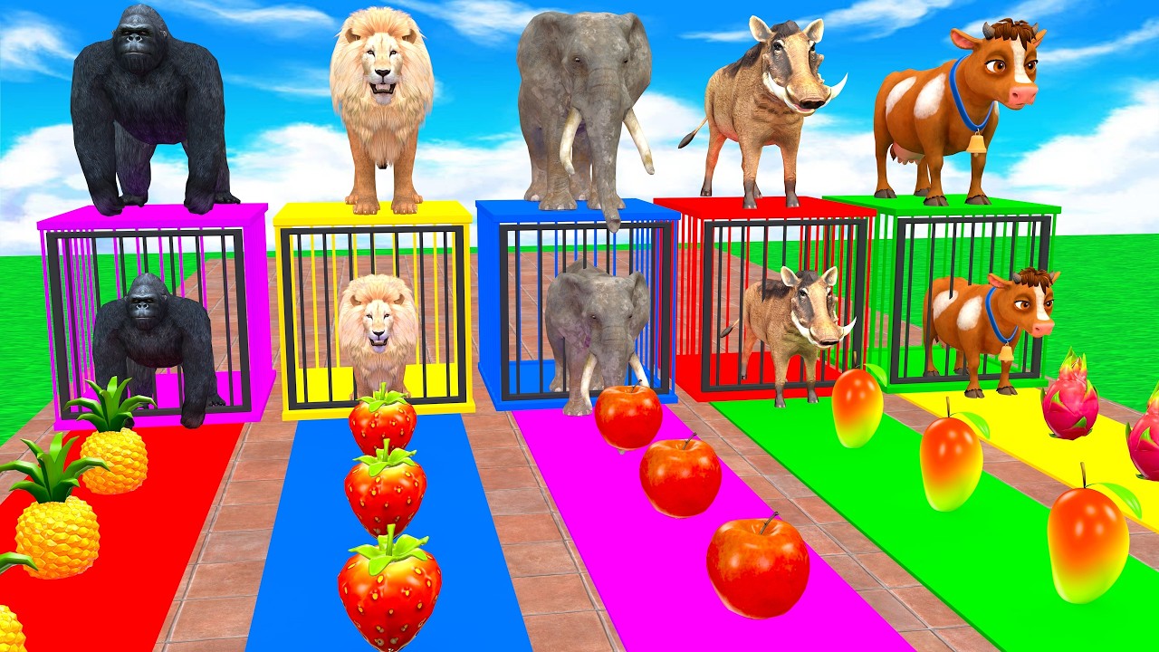 Long Slide Game With Gorilla Lion Elephant Warthog Cow Tiger 3d Animal Game Funny 3d Animals