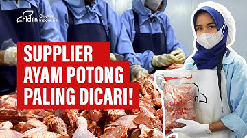 Supplier Jual Ayam Potong & Karkas Berkualitas | Chickin Fresh