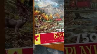 Puzzle With Train And Mountain