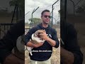 Dogs And Other Animals Funnydogs DogTok DogFails2025 DogsOfspring DogVsOwner Petfyp Usa Dogs And Other Animals Funnydogs DogTok DogFails2025 DogsOfspring DogVsOwner Petfyp Usa