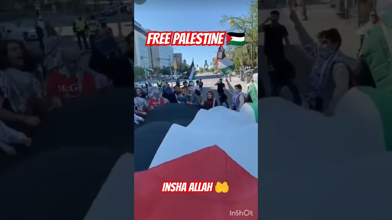 Free Palestine 🇵🇸 inshallah 🤲 #short #shorts #palestine #gaza - YouTube