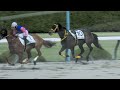 【落馬】【放馬】藤岡康太騎手が怪我 その原因の落馬 現地映像