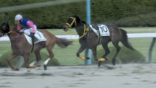 【落馬】【放馬】藤岡康太騎手が怪我 その原因の落馬 現地映像