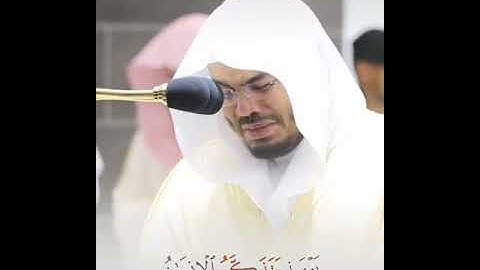 أجمل حالات واتس اب قرآن للشيخ ||ياسر الدوسري|| تلاوة مبكية وخاشعة جدا