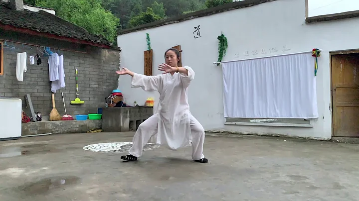 28Wudang Zhang Sanfeng Taiji 28 @Wudang Taoist Wel...