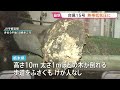 台風15号が熱帯低気圧に変わるも東北～近畿で大雨のおそれ　早くも次の台風17号が発生 今後の進路や影響は？｜TBS NEWS DIG