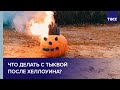 Что делать с тыквой после Хеллоуина?