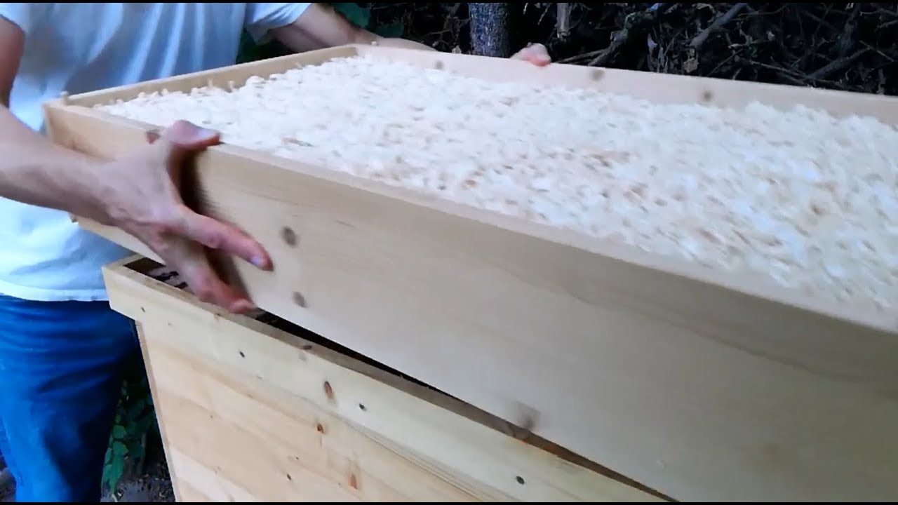 Klimadeckel aufsetzen und Duchsicht Hauptvolk