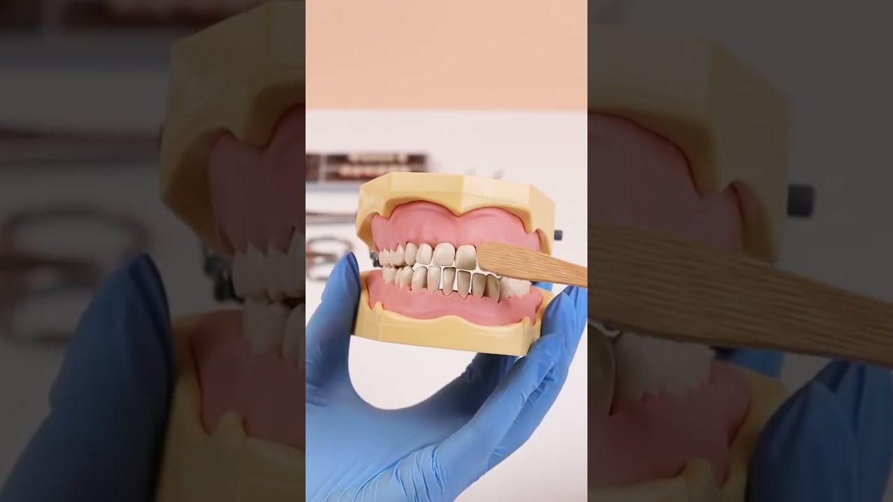  Brushing The Right Way Healthier Teeth Fresher Smile Productreview Toothbrush Toothpast