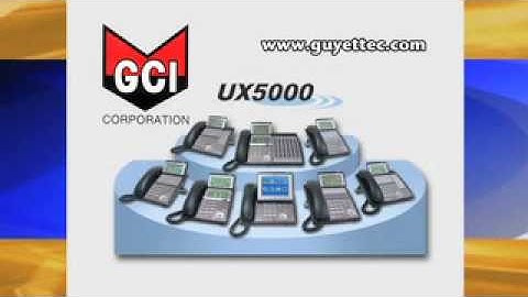 WVIA 2010 Great TV Auction Guyette NEC UX5000 Phone
