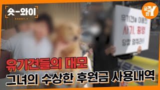 [Y 677회 요약] 유기견 대모로 불린 그녀의 수상한 결제 내역 | 숏와이