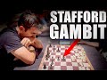 I Played the Stafford Gambit in a Rated Tournament