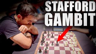 I Played the Stafford Gambit in a Rated Tournament