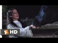 The Black Stallion Returns (1983) - Helping Tabari Scene (6/12) | Movieclips