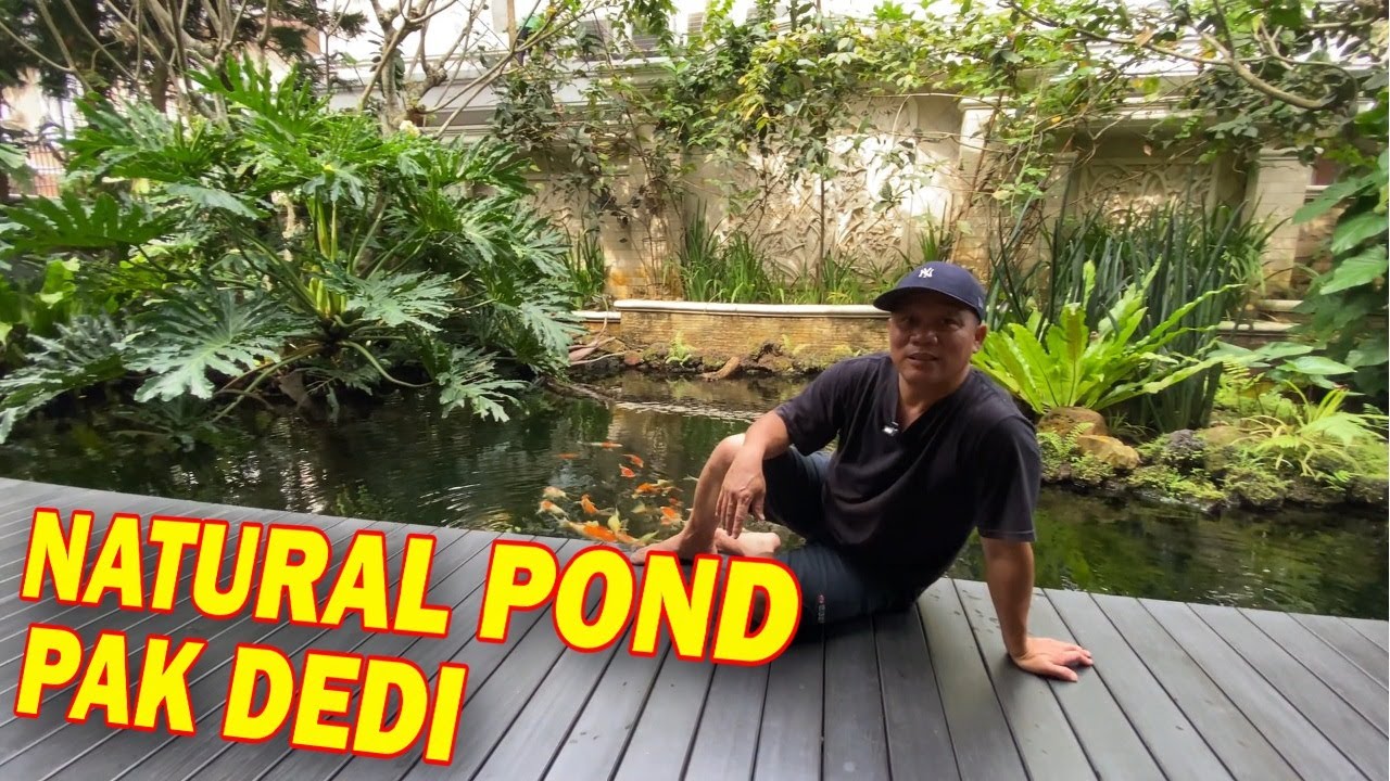 NATURAL POND PAK DEDI