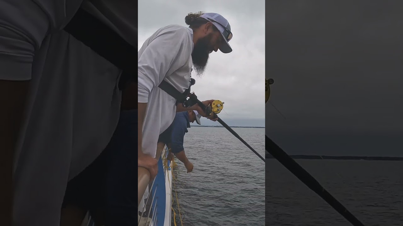 Этот мост был полон гигантских рыб! 