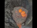 Drone footage capturing the moment of a volcanic eruption from above.