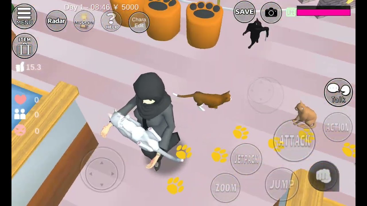 Kakak pergi ke Cafe kucing