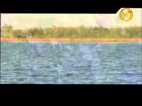 شيبة اكبر فخر عبدالله الفارس