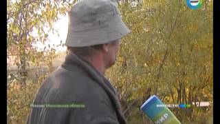 Загадочные убийства на трассе «Дон»: кому выгодна охота на водителей? Загадочные убийства на трассе «Дон»: кому выгодна охота на водителей?