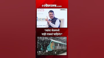 मेट्रोला अटकाव करणाऱ्यांविरोधात देवेंद्र फडणवीस आक्रमक | Devendra Fadnavis