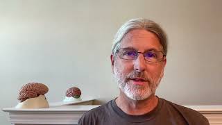 An Introduction to The Neuroscience of Interoception and Embodiment