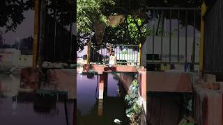 संघर्ष करो 🙏 #fitness #motivation #shots