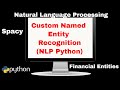 Custom Named Entity Recognition using Python