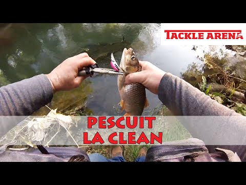 Pescuit la clean