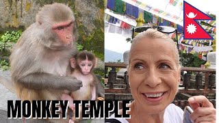 MONKEY TEMPLE (Swayambhunath Stupa) Kathmandu NEPAL 🇳🇵 ( solo female travel Nepal )