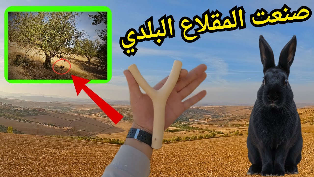 طريفة صنع المقلاع الصيد البلدي من خشب الزيتون 🎯 (ج 1)