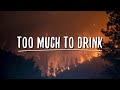 Anth - Too Much To Drink (Lyrics)