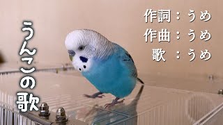 韻を踏んで歌います。恐らくウンも踏んでますｗ　セキセイインコ・うめ　Poo Poo Song Sung by Budgie