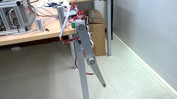 2-DOF robot arm with Elmo drive and Maxon motor