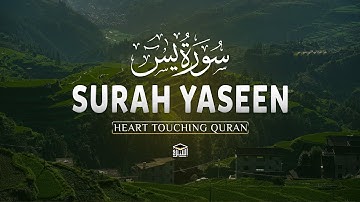 Surah Yasin (Yaseen) for Healing | Relieve Stress, Depression & Anxiety | سورة يس | Istabraq TV