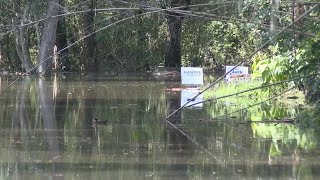 Jake Gaither Neighborhood and crews cleaning up in the aftermath of Hurricane Helene