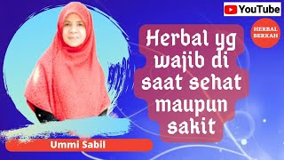 Tanya jawab dan tips meresepkan herbal oleh konsultan Herbalis HNI UMMI SABIL