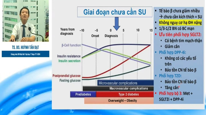 Cơ chế gây tăng đường huyết tạm thời giai đoạn đầu