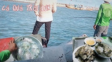 Chuyến đi câu cá tại cảng cá Lagi - cá nâu quá trời ( cá nâu nướng, canh lá khế )