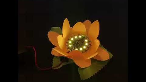 Adafruit Dandelion project with Microsoft MakeCode