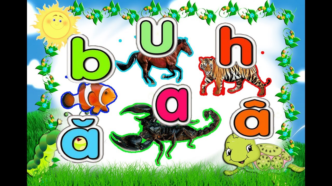 image Gà con TV || Dạy bé nhận biết và phát âm chữ cái tiếng việt chuẩn cùng các loài vật || bé học chữ