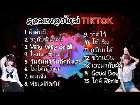 รวมเพลงฮิตในTik Tok ไทม์แมชชีน,ผีเห็นผี เพลงเพราะมาแรงในTikTok