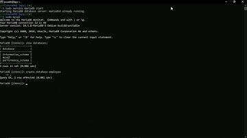 Install MariaDB server-client || linux || WSL