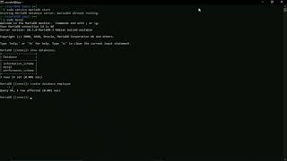 Install MariaDB server-client || linux || WSL