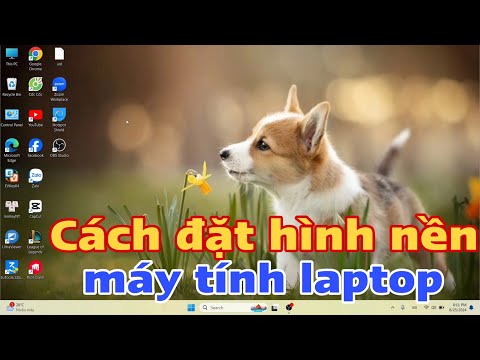 Cách đặt hình