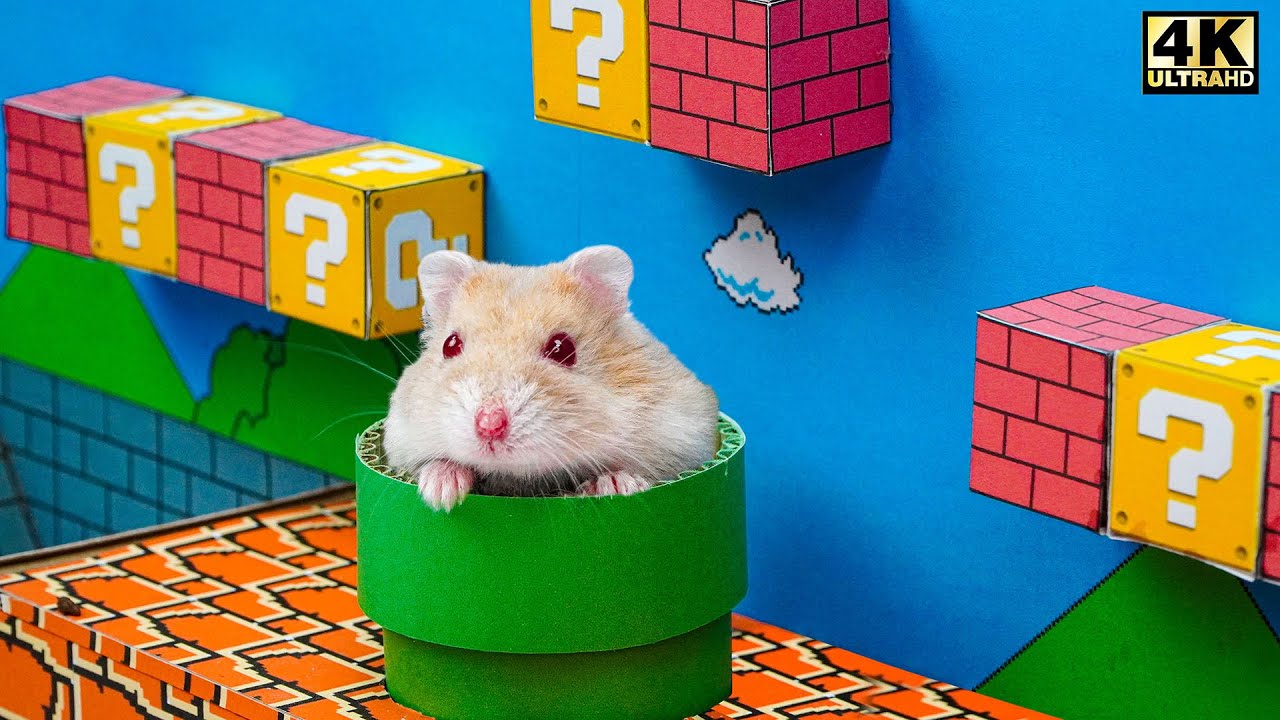 HAMSTER ESCAPE: Cute Mario maze for Hamsterious 🐹 in Hamster Stories 🐹